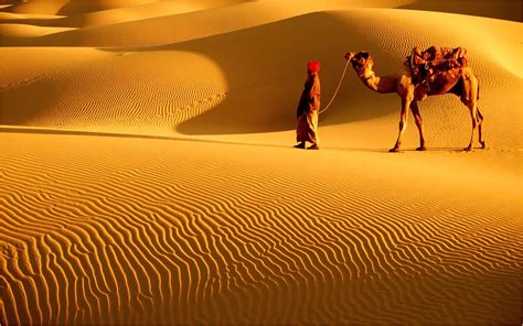 rajasthan desert pics|rajasthani background.